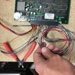 Jamma Harness